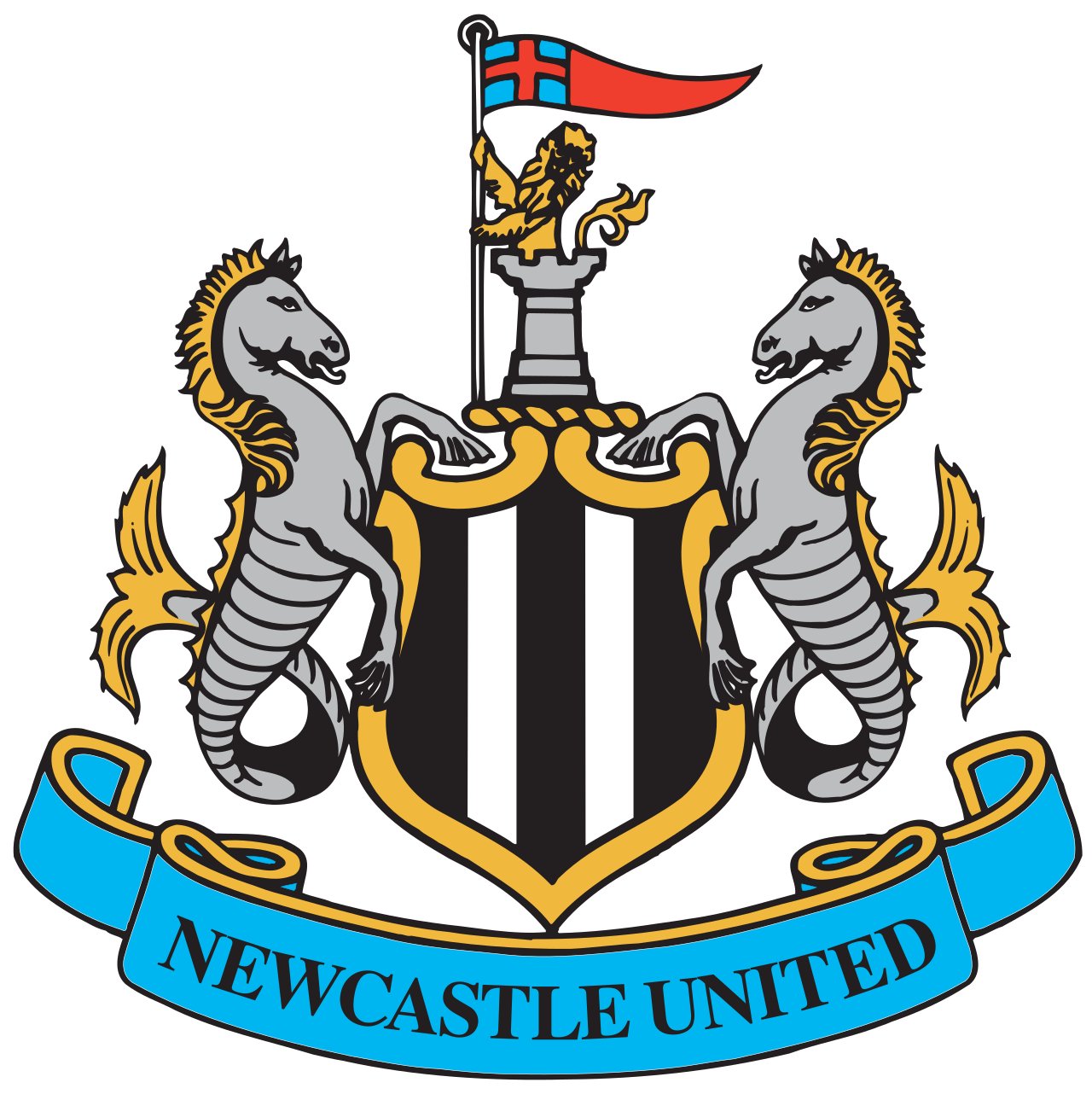 Newcastle United football club