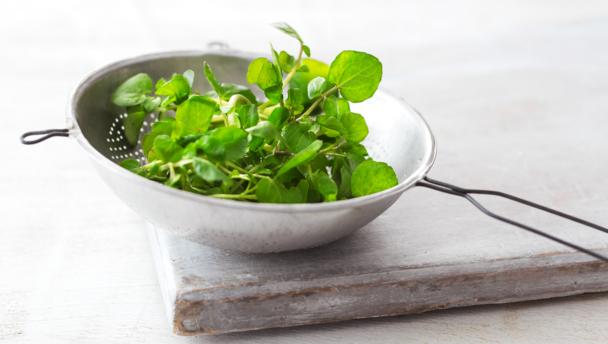 Seasons Recipes April