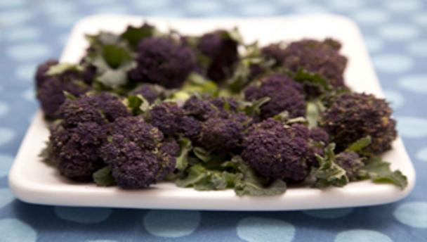 Seasons Recipes March