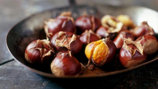 Seasons Recipes November